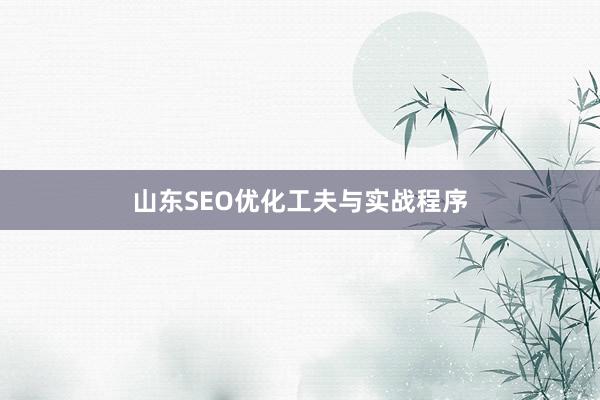 山东SEO优化工夫与实战程序
