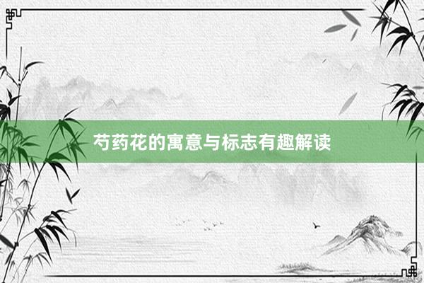 芍药花的寓意与标志有趣解读