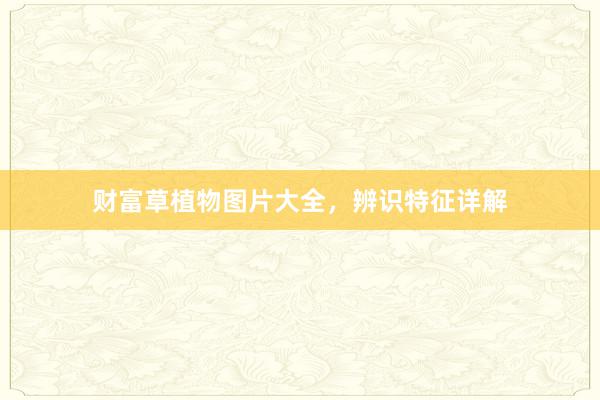 财富草植物图片大全，辨识特征详解